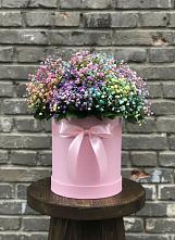 Цветочная композиция из Гипсофила и Розы в шляпной коробке #REPLACE_PRED# Мамедкалу