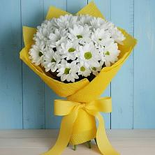 Букет цветов из:  Хризантемы в Мамедкалу
