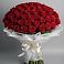 Букет 101 Красная роза Блэк Мэджик в Мамедкалу