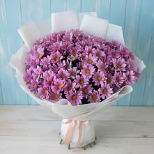 Букет цветов из:  Хризантемы в Мамедкалу