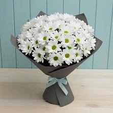 Букет цветов из:  Хризантемы в Мамедкалу