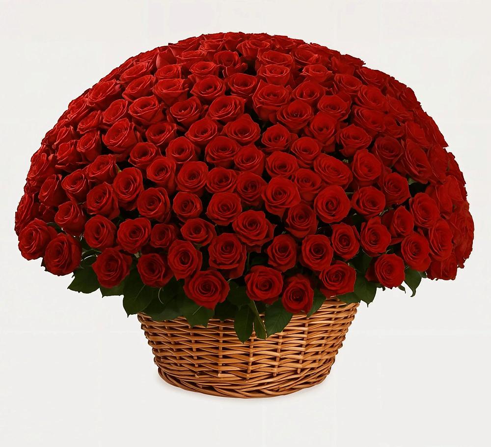 Премиум букет из: Розы в Мамедкалу