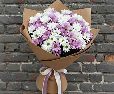 Букет цветов из:  Хризантемы в Мамедкалу