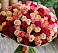 Букет 101 Разноцветная роза в Мамедкалу
