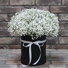 Цветочная композиция из Гипсофила в шляпной коробке в Мамедкалу