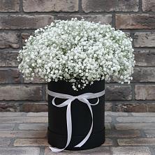 Цветочная композиция из Гипсофила в шляпной коробке в Мамедкалу