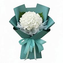 Букет цветов из:  Гортензия в Мамедкалу